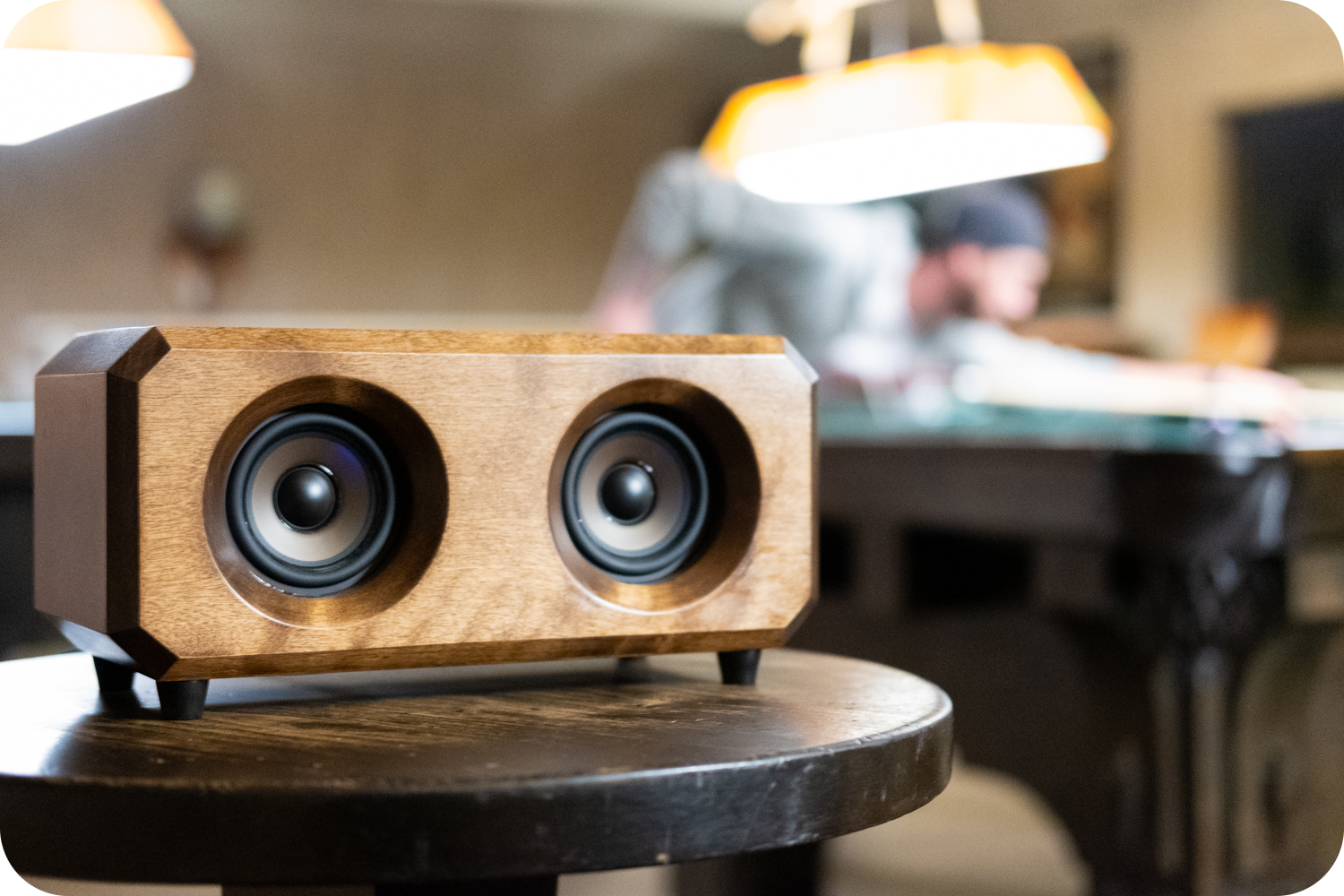 Bookshelf Speakers | The Madawaska | Passive Speaker (Pair)